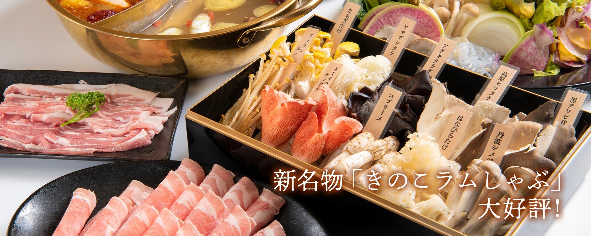 希少なきのこ盛り付きコース割引キャンペーン開催！