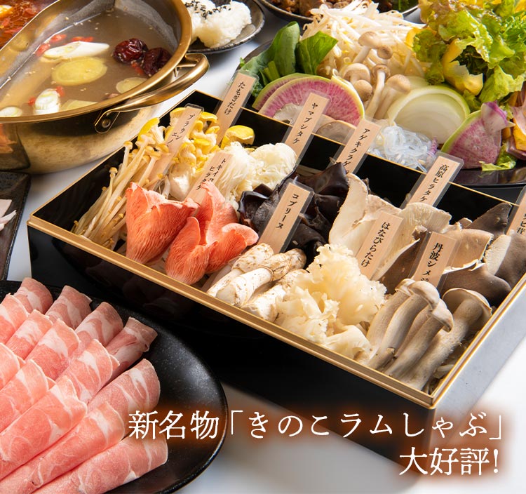 希少なきのこ盛り付きコース割引キャンペーン開催！